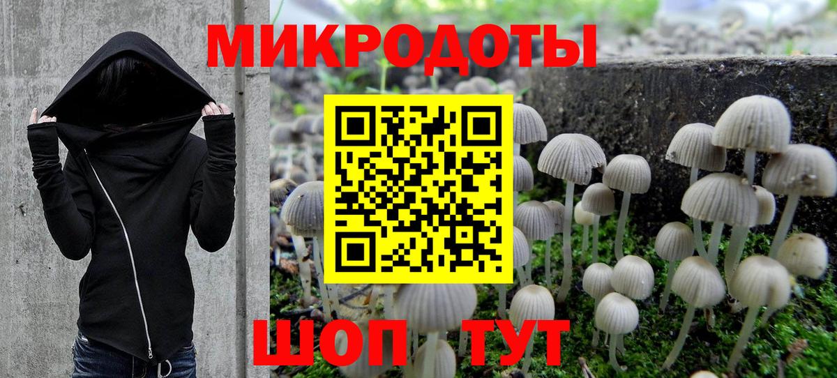 Псилоцибиновые грибы мицелий  Вход с VPN  Псилоцибиновые грибы Cubensis  Киров 